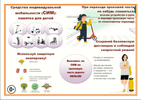 Использование СИМ Использование СИМ.