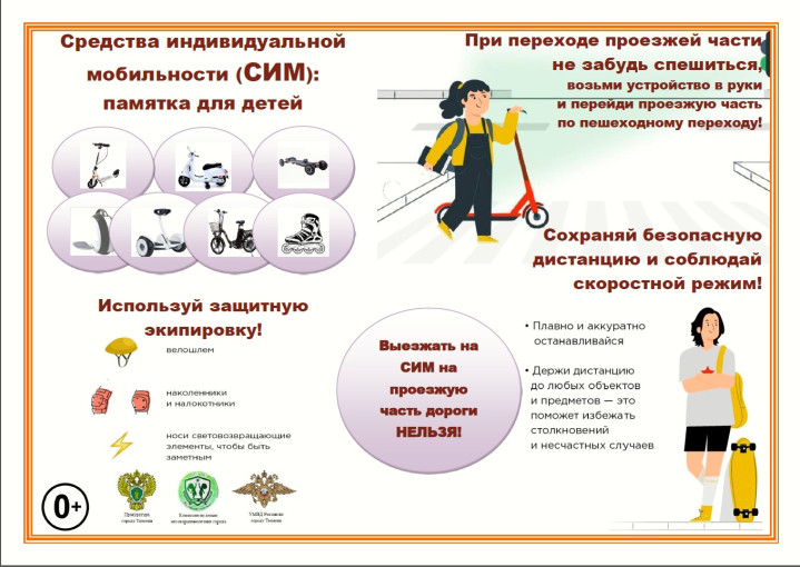 Использование СИМ Использование СИМ.