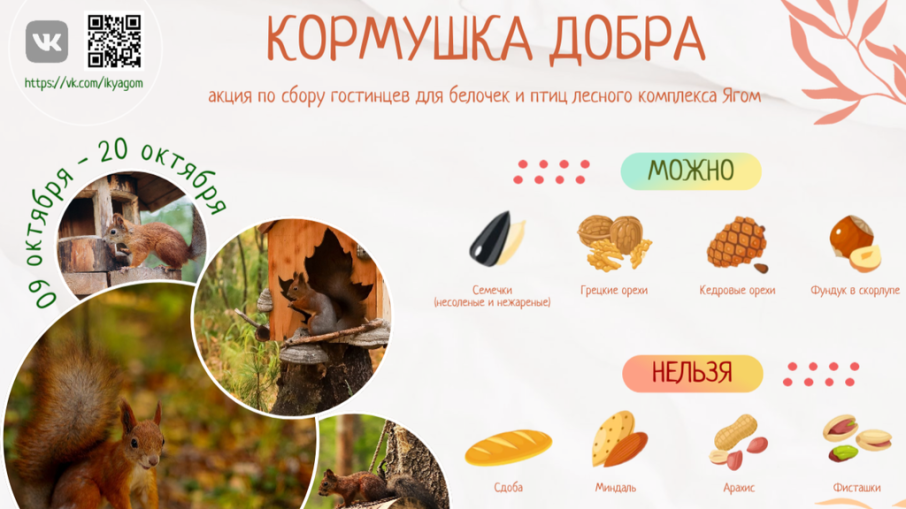 Кормушка добра Кормушка добра.